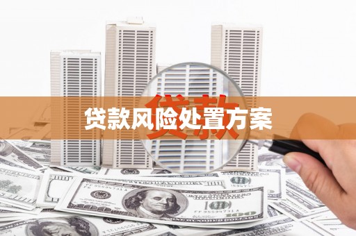 皇姑贷款风险处置方案