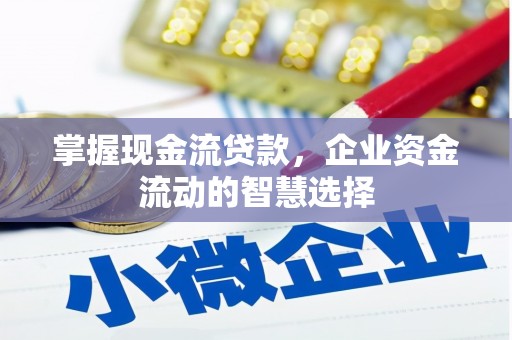 皇姑掌握现金流贷款，企业资金流动的智慧选择