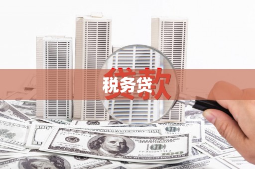 皇姑税务贷
