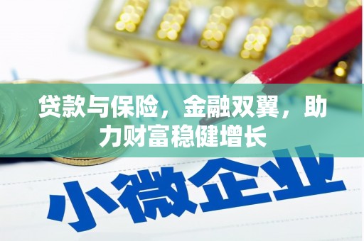 皇姑贷款与保险，金融双翼，助力财富稳健增长