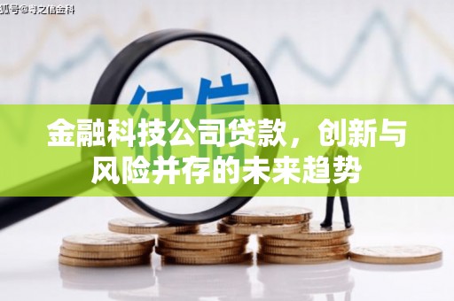 皇姑金融科技公司贷款，创新与风险并存的未来趋势
