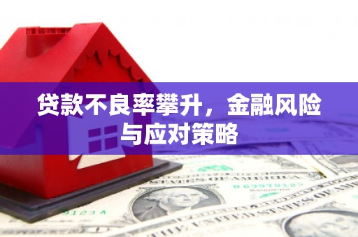 皇姑贷款不良率攀升，金融风险与应对策略