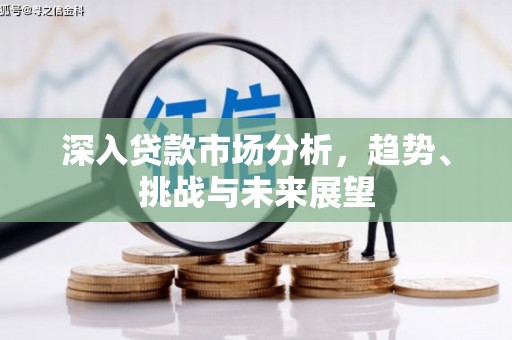 皇姑深入贷款市场分析，趋势、挑战与未来展望