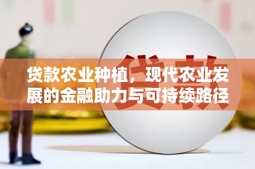 皇姑贷款农业种植，现代农业发展的金融助力与可持续路径