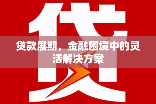 皇姑贷款展期，金融困境中的灵活解决方案