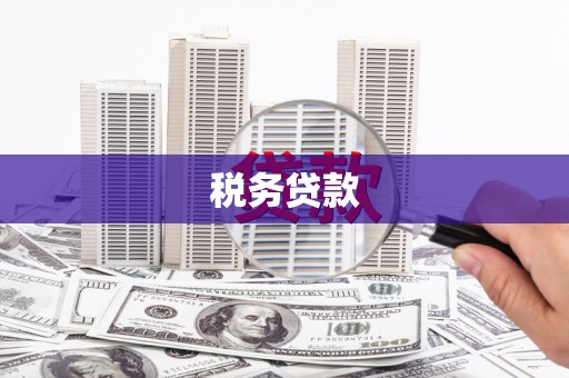 皇姑税务贷款