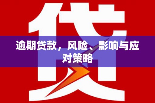 皇姑逾期贷款，风险、影响与应对策略