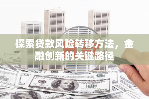 皇姑探索贷款风险转移方法，金融创新的关键路径