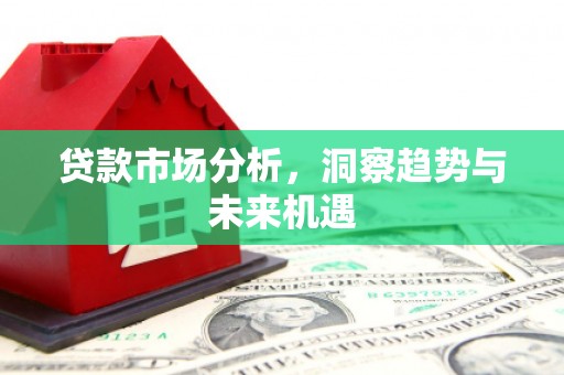 皇姑贷款市场分析，洞察趋势与未来机遇