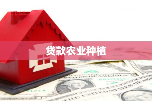 皇姑贷款农业种植