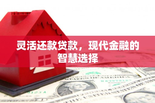 皇姑灵活还款贷款，现代金融的智慧选择