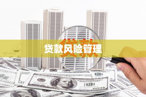 皇姑贷款风险管理