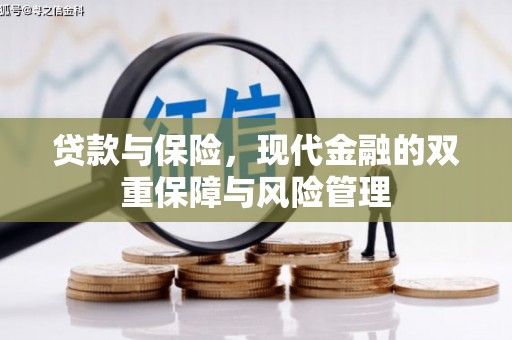 皇姑贷款与保险，现代金融的双重保障与风险管理