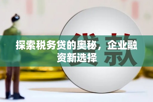 皇姑探索税务贷的奥秘，企业融资新选择