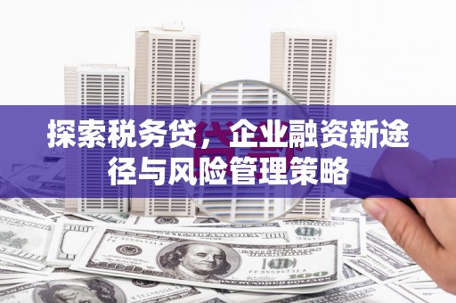 皇姑探索税务贷，企业融资新途径与风险管理策略