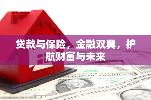 皇姑贷款与保险，金融双翼，护航财富与未来