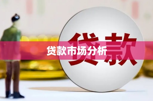 皇姑贷款市场分析