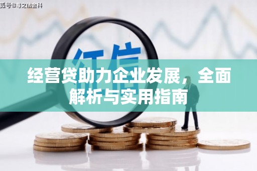 皇姑经营贷助力企业发展，全面解析与实用指南