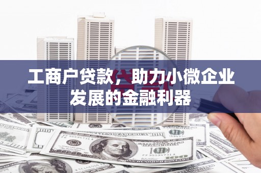 皇姑工商户贷款，助力小微企业发展的金融利器