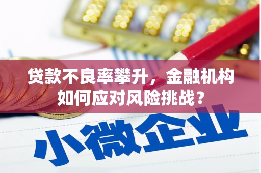 皇姑贷款不良率攀升，金融机构如何应对风险挑战？
