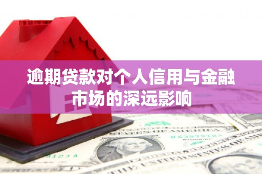 皇姑逾期贷款对个人信用与金融市场的深远影响