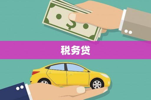 皇姑税务贷
