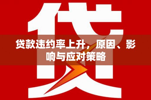 皇姑贷款违约率上升，原因、影响与应对策略