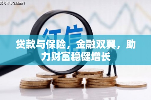 皇姑贷款与保险，金融双翼，助力财富稳健增长