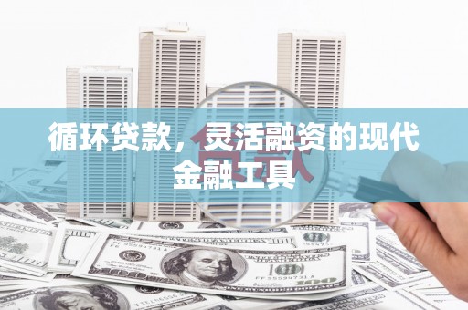 皇姑循环贷款，灵活融资的现代金融工具