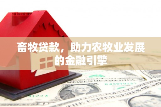 皇姑畜牧贷款，助力农牧业发展的金融引擎