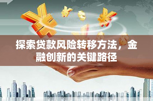 皇姑探索贷款风险转移方法，金融创新的关键路径