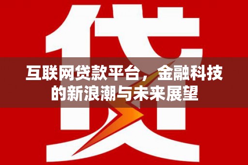 皇姑互联网贷款平台，金融科技的新浪潮与未来展望