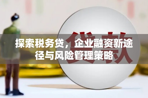 皇姑探索税务贷，企业融资新途径与风险管理策略