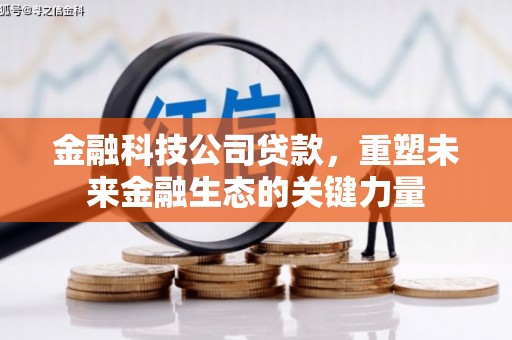 皇姑金融科技公司贷款，重塑未来金融生态的关键力量