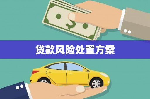皇姑贷款风险处置方案