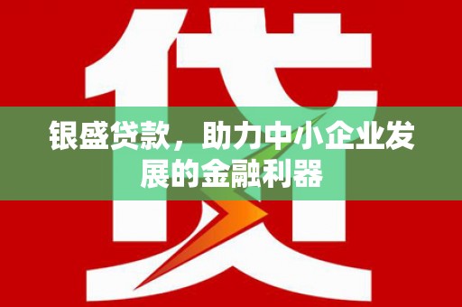 皇姑银盛贷款，助力中小企业发展的金融利器