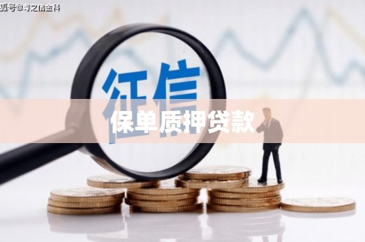 皇姑保单质押贷款