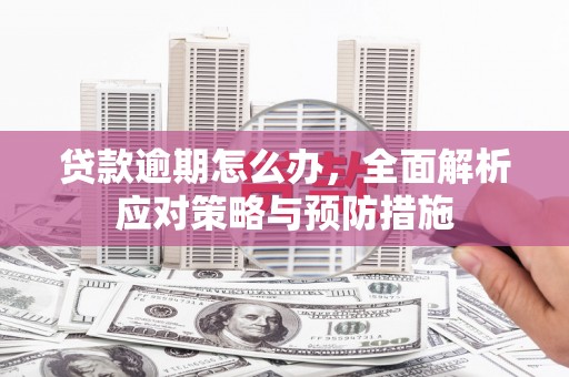 皇姑贷款逾期怎么办，全面解析应对策略与预防措施
