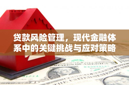 皇姑贷款风险管理，现代金融体系中的关键挑战与应对策略