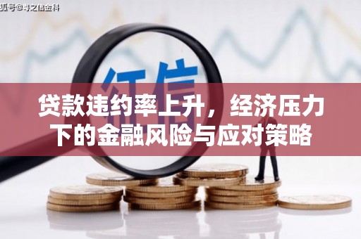 皇姑贷款违约率上升，经济压力下的金融风险与应对策略