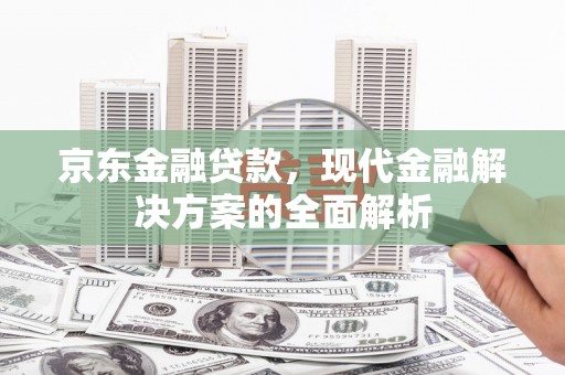 皇姑京东金融贷款，现代金融解决方案的全面解析