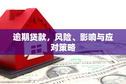 皇姑逾期贷款，风险、影响与应对策略
