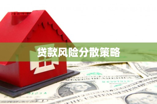 皇姑贷款风险分散策略