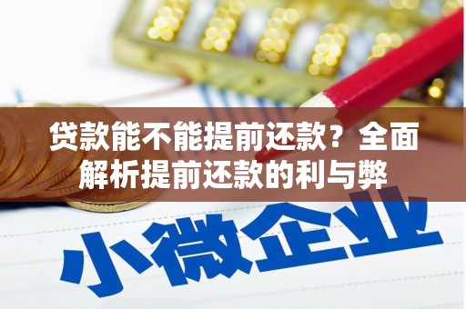 皇姑贷款能不能提前还款？全面解析提前还款的利与弊