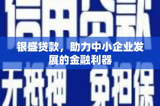皇姑银盛贷款，助力中小企业发展的金融利器