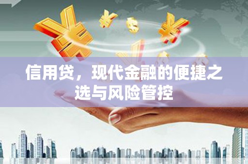 皇姑信用贷，现代金融的便捷之选与风险管控