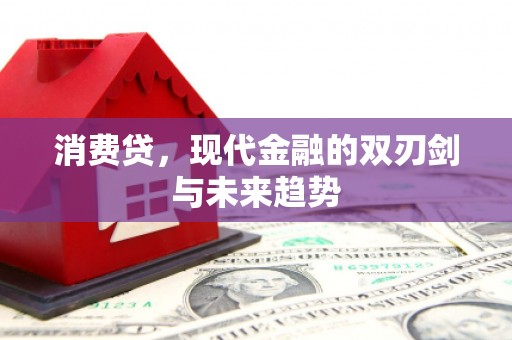 皇姑消费贷，现代金融的双刃剑与未来趋势