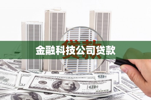 皇姑金融科技公司贷款