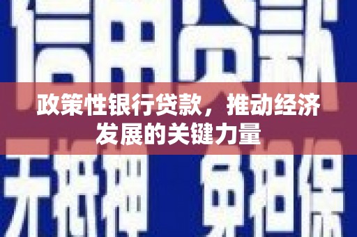 皇姑政策性银行贷款，推动经济发展的关键力量