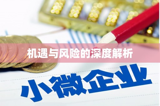 皇姑机遇与风险的深度解析